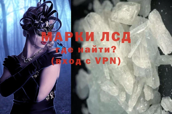 гидра Аркадак